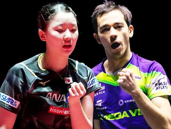 中国乒乓球队将同时参加WTT新加坡站和日本站国际赛事